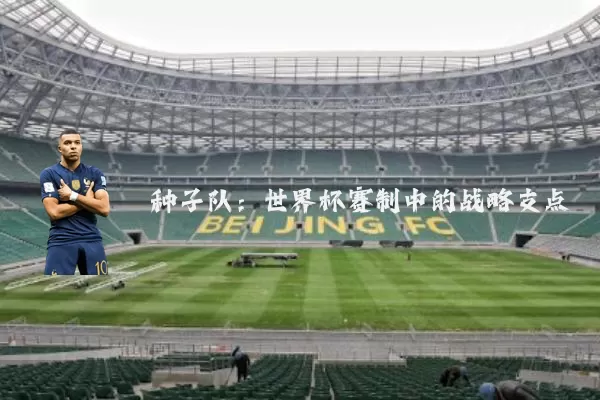 种子队：世界杯赛制中的战略支点