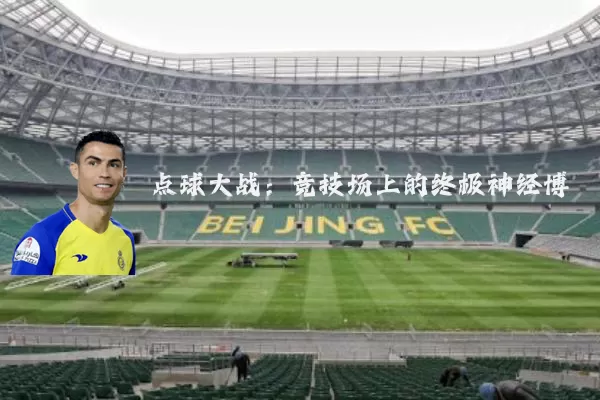 点球大战:竞技场上的终极神经博弈